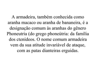 A armadeira, também conhecida como
aranha macaco ou aranha de bananeira, é a
 designação comum às aranhas do gênero
Phoneutria (do grego phoneútria: da família
 dos ctenídeos. O nome comum armadeira
  vem da sua atitude invariável de ataque,
     com as patas dianteiras erguidas.
 