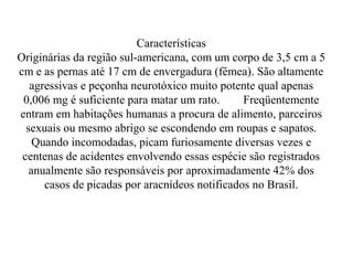 Características
Originárias da região sul-americana, com um corpo de 3,5 cm a 5
cm e as pernas até 17 cm de envergadura (fêmea). São altamente
   agressivas e peçonha neurotóxico muito potente qual apenas
 0,006 mg é suficiente para matar um rato.      Freqüentemente
entram em habitações humanas a procura de alimento, parceiros
  sexuais ou mesmo abrigo se escondendo em roupas e sapatos.
    Quando incomodadas, picam furiosamente diversas vezes e
 centenas de acidentes envolvendo essas espécie são registrados
   anualmente são responsáveis por aproximadamente 42% dos
      casos de picadas por aracnídeos notificados no Brasil.
 