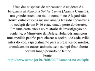 Uma das suspeitas de ter causado o acidente é a
belezinha aí abaixo, a Spider Camel (Aranha Camelo),
  um grande aracnídeo muito comum no Afeganistão.
Houve outro caso da mesma aranha ter sido encontrada
  no cockpit de um F-16 estacionado perto do deserto.
  Em uma carta anexa ao relatório de investigação do
  acidente, o Ministério da Defesa Holandês anunciou
uma medida padrão para checar o cockpit de cada avião
antes do vôo, especialmente para a presença de insetos,
 aracnídeos ou outros animais, se o canopi ficar aberto
            por um longo período de tempo.
                         Fonte:
http://www.aereo.jor.br/2008/09/21/aranha-no-cockpit/
 