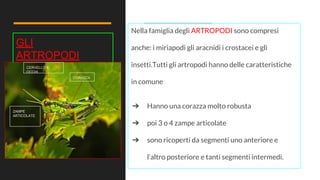 Artropodi | PDF