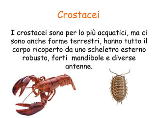 Crostacei
I crostacei sono per lo più acquatici, ma ci
sono anche forme terrestri, hanno tutto il
corpo ricoperto da uno scheletro esterno
robusto, forti mandibole e diverse
antenne.
 