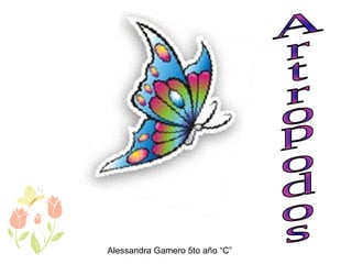 Artropodos Alessandra Gamero 5to año “C” 