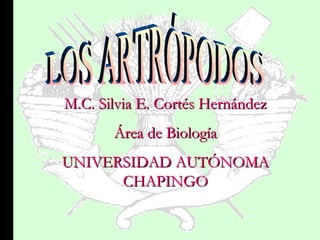 M.C. Silvia E. Cortés Hernández Área de Biología UNIVERSIDAD AUTÓNOMA CHAPINGO LOS ARTRÓPODOS 