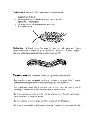 Quilópodos (Ciempiés) 2,800 especies mundiales descritas

      cabeza bien definida
      primer par de patas modificadas para envenenación
      aplanado de arriba abajo
      presentan un par de patas por cada segmento
      son depredadores




Diplópodos (Milpiés) tienen dos pares de patas por cada segmento. Poseen
hábitos detritívoros o herbívoros y son inofensivos. Aunque se les llame "milpies"
no tienen tantas patas, generalmente no sobrepasan las 200.




Crustáceos: Los crustáceos tienen las siguientes características:
   
 Los crustáceos son artrópodos acuáticos (marinos o de agua dulce), aunque
 también existen representantes terrestres (cochinilla de la humedad).

 Sus principales características son que poseen cinco pares de patas y que la
 cabeza y el tórax se hallan fusionadas formando un cefalotórax.

 En la mayoría de los casos, el primer par de patas no posee función locomotora y
 están armadas con un par de pinzas.

 La mayoría son acuáticos poco terrestres y respiran por branquias.

 En la parte anterior del cefalotórax se sitúan los órganos de los sentidos: los ojos
 