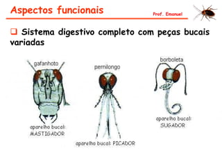 Aspectos funcionais
 Sistema digestivo completo com peças bucais
variadas
Prof. Emanuel
 