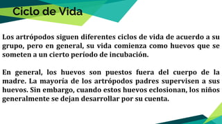 Los artrópodos siguen diferentes ciclos de vida de acuerdo a su
grupo, pero en general, su vida comienza como huevos que se
someten a un cierto período de incubación.
En general, los huevos son puestos fuera del cuerpo de la
madre. La mayoría de los artrópodos padres supervisen a sus
huevos. Sin embargo, cuando estos huevos eclosionan, los niños
generalmente se dejan desarrollar por su cuenta.
Ciclo de Vida
 