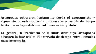 Artrópodos extrajeron lentamente desde el exoesqueleto y
siguen siendo vulnerables durante un cierto período de tiempo
hasta que se haya elaborado el nuevo exoesqueleto.
En general, la frecuencia de la muda disminuye artrópodos
alcancen la fase adulta. El intervalo de tiempo entre llamadas
mute intermuda.
 