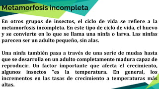 En otros grupos de insectos, el ciclo de vida se refiere a la
metamorfosis incompleta. En este tipo de ciclo de vida, el huevo
y se convierte en lo que se llama una ninfa o larva. Las ninfas
parecen ser un adulto pequeño, sin alas.
Una ninfa también pasa a través de una serie de mudas hasta
que se desarrolla en un adulto completamente madura capaz de
reproducir. Un factor importante que afecta el crecimiento,
algunos insectos "es la temperatura. En general, los
incrementos en las tasas de crecimiento a temperaturas más
altas.
Metamorfosis incompleta
 