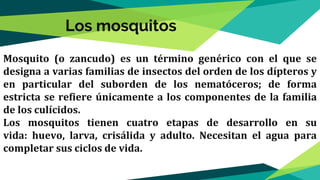 Los mosquitos
Mosquito (o zancudo) es un término genérico con el que se
designa a varias familias de insectos del orden de los dípteros y
en particular del suborden de los nematóceros; de forma
estricta se refiere únicamente a los componentes de la familia
de los culícidos.
Los mosquitos tienen cuatro etapas de desarrollo en su
vida: huevo, larva, crisálida y adulto. Necesitan el agua para
completar sus ciclos de vida.
 