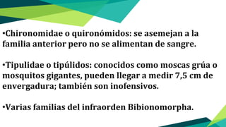 •Chironomidae o quironómidos: se asemejan a la
familia anterior pero no se alimentan de sangre.
•Tipulidae o tipúlidos: conocidos como moscas grúa o
mosquitos gigantes, pueden llegar a medir 7,5 cm de
envergadura; también son inofensivos.
•Varias familias del infraorden Bibionomorpha.
 
