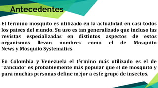 Antecedentes
El término mosquito es utilizado en la actualidad en casi todos
los países del mundo. Su uso es tan generalizado que incluso las
revistas especializadas en distintos aspectos de estos
organismos llevan nombres como el de Mosquito
News y Mosquito Systematics.
En Colombia y Venezuela el término más utilizado es el de
"zancudo" es probablemente más popular que el de mosquito y
para muchas personas define mejor a este grupo de insectos.
 