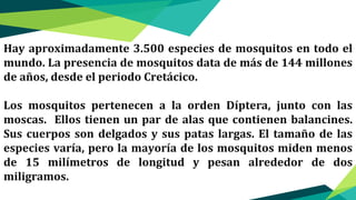 Hay aproximadamente 3.500 especies de mosquitos en todo el
mundo. La presencia de mosquitos data de más de 144 millones
de años, desde el periodo Cretácico.
Los mosquitos pertenecen a la orden Díptera, junto con las
moscas. Ellos tienen un par de alas que contienen balancines.
Sus cuerpos son delgados y sus patas largas. El tamaño de las
especies varía, pero la mayoría de los mosquitos miden menos
de 15 milímetros de longitud y pesan alrededor de dos
miligramos.
 