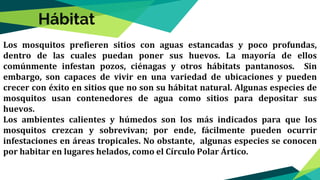 Los mosquitos prefieren sitios con aguas estancadas y poco profundas,
dentro de las cuales puedan poner sus huevos. La mayoría de ellos
comúnmente infestan pozos, ciénagas y otros hábitats pantanosos. Sin
embargo, son capaces de vivir en una variedad de ubicaciones y pueden
crecer con éxito en sitios que no son su hábitat natural. Algunas especies de
mosquitos usan contenedores de agua como sitios para depositar sus
huevos.
Los ambientes calientes y húmedos son los más indicados para que los
mosquitos crezcan y sobrevivan; por ende, fácilmente pueden ocurrir
infestaciones en áreas tropicales. No obstante, algunas especies se conocen
por habitar en lugares helados, como el Círculo Polar Ártico.
Hábitat
 