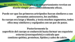 Su anatomía, su fisiología y su comportamiento revelan un
diseño simple pero admirablemente eficaz.
Puede ser que los primeros artrópodos fueran similares a sus
presuntos antecesores, los anélidos.
Su cuerpo era largo y blando, y tenía muchos segmentos, todos
ellos muy similares y equipados con un par de patas.
Posteriormente la
superficie del cuerpo se endureció hasta formar un esqueleto
externo (exoesqueleto) o cutícula que
contiene quitina, proteínas, lípidos y sales de calcio.
 
