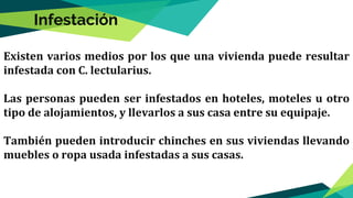 Existen varios medios por los que una vivienda puede resultar
infestada con C. lectularius.
Las personas pueden ser infestados en hoteles, moteles u otro
tipo de alojamientos, y llevarlos a sus casa entre su equipaje.
También pueden introducir chinches en sus viviendas llevando
muebles o ropa usada infestadas a sus casas.
Infestación
 