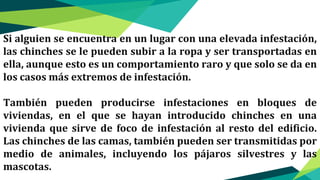 Si alguien se encuentra en un lugar con una elevada infestación,
las chinches se le pueden subir a la ropa y ser transportadas en
ella, aunque esto es un comportamiento raro y que solo se da en
los casos más extremos de infestación.
También pueden producirse infestaciones en bloques de
viviendas, en el que se hayan introducido chinches en una
vivienda que sirve de foco de infestación al resto del edificio.
Las chinches de las camas, también pueden ser transmitidas por
medio de animales, incluyendo los pájaros silvestres y las
mascotas.
 