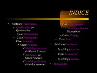ÍNDICE
• Subfilum Quelicerados
– Clasificación de
Quelicerados
– Clase Merostomata
– Clase Pignogonida
– Clase Arácnida
• Orden Araneae
Morfología externa
del Orden Araneae
Apéndices del
Orden Araneae
Morfología Interna
del orden Araneae
• Orden Escorpiones
Morfología Interna
Escorpiones
• Orden Uropigy
– Clase Acari
• Subfilum Crustáceos
– Morfología externa
– Corte Transversal
– Morfología Interna.
• Bibliografía
 