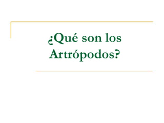 ¿Qué son los
Artrópodos?
 