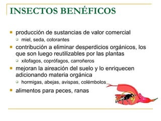 INSECTOS BENÉFICOS producción de sustancias de valor comercial miel, seda, colorantes  contribución a eliminar desperdicios orgánicos, los que son luego reutilizables por las plantas  xilofagos, coprófagos, carroñeros  mejoran la aireación del suelo y lo enriquecen adicionando materia orgánica  hormigas, abejas, avispas, colémbolos  alimentos para peces, ranas   