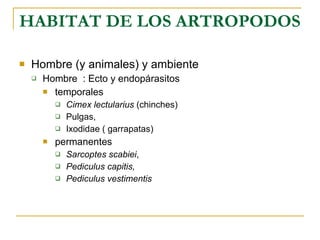 HABITAT DE LOS ARTROPODOS Hombre (y animales) y ambiente  Hombre  : Ecto y endopárasitos temporales  Cimex lectularius  (chinches) Pulgas,  Ixodidae ( garrapatas) permanentes Sarcoptes scabiei ,  Pediculus capitis,  Pediculus   vestimentis   