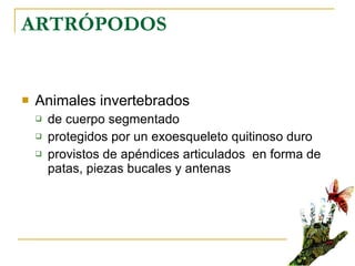 ARTRÓPODOS Animales invertebrados  de cuerpo segmentado protegidos por un exoesqueleto quitinoso duro  provistos de apéndices articulados  en forma de patas, piezas bucales y antenas  