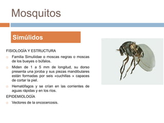 TEMA: ARTROPODOS DE IMPORTANCIA MEDICA PPT | PPTX