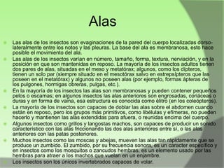 Alas














Las alas de los insectos son evaginaciones de la pared del cuerpo localizadas dorsolateralmente entre los notos y las pleuras. La base del ala es membranosa, esto hace
posible el movimiento del ala.
Las alas de los insectos varían en número, tamaño, forma, textura, nerviación, y en la
posición en que son mantenidas en reposo. La mayoría de los insectos adultos tienen
dos pares de alas, situadas en el meso y metatórax; algunos, como los dípteros,
tienen un solo par (siempre situado en el mesotórax salvo en estrepsípteros que las
poseen en el metatórax) y algunos no poseen alas (por ejemplo, formas ápteras de
los pulgones, hormigas obreras, pulgas, etc.).
En la mayoría de los insectos las alas son membranosas y pueden contener pequeños
pelos o escamas; en algunos insectos las alas anteriores son engrosadas, coriáceas o
duras y en forma de vaina, esa estructura es conocida como élitro (en los coleópteros).
La mayoría de los insectos son capaces de doblar las alas sobre el abdomen cuando
están en reposo, pero los grupos más primitivos, como libélulas y efímeras, no pueden
hacerlo y mantienen las alas extendidas para afuera, o reunidas encima del cuerpo.
Algunos insectos como grillos y langostas machos, son capaces de producir un sonido
característico con las alas friccionando las dos alas anteriores entre sí, o las alas
anteriores con las patas posteriores.
Muchos insectos como las moscas y abejas, mueven las alas tan rápidamente que se
produce un zumbido. El zumbido, por su frecuencia sonora, es un caracter específico y
en insectos como los mosquitos o zancudos hembras, es un elemento usado por las
hembras para atraer a los machos que vuelan en un enjambre.
Los insectos son los únicos invertebrados capaces de volar.

 