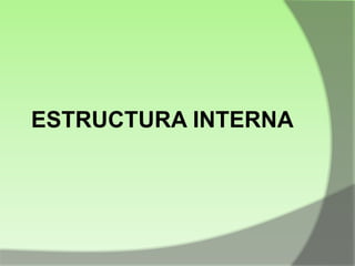 ESTRUCTURA INTERNA

 