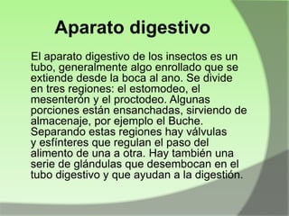 Aparato digestivo
El aparato digestivo de los insectos es un
tubo, generalmente algo enrollado que se
extiende desde la boca al ano. Se divide
en tres regiones: el estomodeo, el
mesenterón y el proctodeo. Algunas
porciones están ensanchadas, sirviendo de
almacenaje, por ejemplo el Buche.
Separando estas regiones hay válvulas
y esfínteres que regulan el paso del
alimento de una a otra. Hay también una
serie de glándulas que desembocan en el
tubo digestivo y que ayudan a la digestión.

 