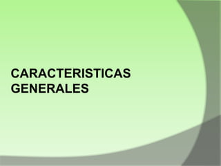 CARACTERISTICAS
GENERALES

 