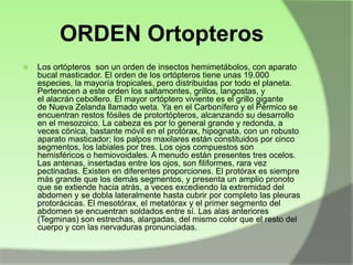 ORDEN Ortopteros


Los ortópteros son un orden de insectos hemimetábolos, con aparato
bucal masticador. El orden de los ortópteros tiene unas 19.000
especies, la mayoría tropicales, pero distribuidas por todo el planeta.
Pertenecen a este orden los saltamontes, grillos, langostas, y
el alacrán cebollero. El mayor ortóptero viviente es el grillo gigante
de Nueva Zelanda llamado weta. Ya en el Carbonífero y el Pérmico se
encuentran restos fósiles de protortópteros, alcanzando su desarrollo
en el mesozoico. La cabeza es por lo general grande y redonda, a
veces cónica, bastante móvil en el protórax, hipognata, con un robusto
aparato masticador; los palpos maxilares están constituidos por cinco
segmentos, los labiales por tres. Los ojos compuestos son
hemisféricos o hemiovoidales. A menudo están presentes tres ocelos.
Las antenas, insertadas entre los ojos, son filiformes, rara vez
pectinadas. Existen en diferentes proporciones. El protórax es siempre
más grande que los demás segmentos, y presenta un amplio pronoto
que se extiende hacia atrás, a veces excediendo la extremidad del
abdomen y se dobla lateralmente hasta cubrir por completo las pleuras
protorácicas. El mesotórax, el metatórax y el primer segmento del
abdomen se encuentran soldados entre sí. Las alas anteriores
(Tegminas) son estrechas, alargadas, del mismo color que el resto del
cuerpo y con las nervaduras pronunciadas.

 
