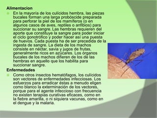 Alimentacion
 En la mayoría de los culícidos hembra, las piezas
bucales forman una larga probóscide preparada
para perforar la piel de los mamíferos (o en
algunos casos de aves, reptiles o anfibios) para
succionar su sangre. Las hembras requieren del
aporte que constituye la sangre para poder iniciar
el ciclo gonotrófico y poder hacer así una puesta
de huevos. Cada puesta ha de ser precedida de la
ingesta de sangre. La dieta de los machos
consiste en néctar, savia y jugos de frutas,
generalmente ricos en azúcares. Los órganos
bucales de los machos difieren de los de las
hembras en aquello que los habilita para
succionar sangre.
Enfermedades
 Como otros insectos hematófagos, los culícidos
son vectores de enfermedades infecciosas. Los
esfuerzos para erradicar éstas a menudo eligen
como blanco la exterminación de los vectores,
porque para el agente infeccioso con frecuencia
no existen terapias curativas eficaces, como en
la fiebre amarilla, o ni siquiera vacunas, como en
el dengue y la malaria.

 