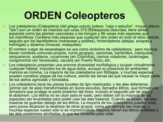 ORDEN Coleopteros








Los coleópteros (Coleoptera) (del griego κολεός koleos: "caja o estuche", πτερον pteron:
"ala") son un orden de insectos con unas 375.000especies descritas; tiene tantas
especies como las plantas vasculares o los hongos y 66 veces más especies que
los mamíferos. Contiene más especies que cualquier otro orden en todo el reino animal,
seguido por los lepidópteros (mariposas y polillas), himenópteros (abejas, avispas y
hormigas) y dípteros (moscas, mosquitos).
El nombre vulgar de escarabajos se usa como sinónimo de coleópteros,2 pero muchos
tienen nombres comunes propios, como gorgojos, carcomas, barrenillos, mariquitas,
sanjuaneros, aceiteros, cucarrones (en Colombia), ciervos voladores, luciérnagas,
congorochos (en Venezuela), caculos (en Puerto Rico), etc.
Los coleópteros presentan una enorme diversidad morfológica y ocupan virtualmente
cualquier hábitat, incluidos los de agua dulce, aunque su presencia en ambientes
marinos es mínima. La mayoría de los coleópteros son fitófagos, y muchas especies
pueden constituir plagas de los cultivos, siendo las larvas las que causan la mayor parte
de los daños agrícolas y forestales.
Los coleópteros tiene las piezas bucales de tipo masticador, y las alas delanteras
(primer par de alas) transformadas en duros escudos, llamados élitros, que forman una
armadura que protege la parte posterior del tórax, incluido el segundo par de alas, y
el abdomen. Los élitros no se usan para el vuelo, pero deben (en la mayoría de las
especies) ser levantadas para poder usar las alas traseras. Cuando se posan, las alas
traseras se guardan debajo de los élitros. La mayoría de los coleópteros pueden volar,
pero pocos alcanzan la destreza de otros grupos, como por ejemplo las moscas, y
muchas especies vuelan sólo si es imprescindible. Algunos tienen los élitros soldados y
las alas posteriores atrofiadas, lo que les inhabilita para volar.

 