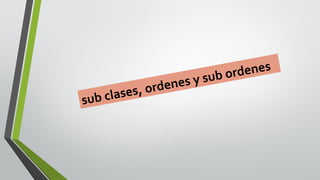 , orde
lases
sub c

e ne s
b ord
s y su
ne

 