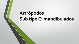 Artrópodos
Sub tipo C: mandibulados

 