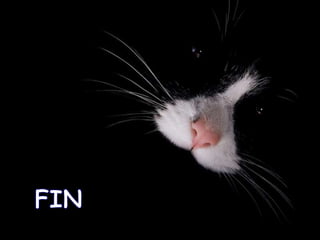 Presentación artrópodos sin insectos.pdf