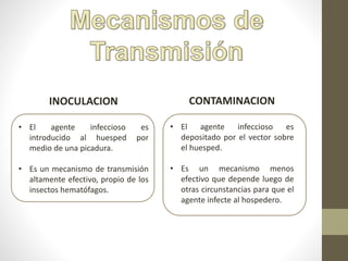 INOCULACION
• El agente infeccioso es
introducido al huesped por
medio de una picadura.
• Es un mecanismo de transmisión
altamente efectivo, propio de los
insectos hematófagos.
CONTAMINACION
• El agente infeccioso es
depositado por el vector sobre
el huesped.
• Es un mecanismo menos
efectivo que depende luego de
otras circunstancias para que el
agente infecte al hospedero.
 