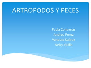 ARTROPODOS Y PECES
Paula Contreras
Andrea Perez
Vanessa Suárez
Nelcy Velilla
 