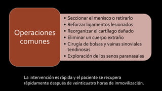 •Seccionar el menisco o retirarlo 
•Reforzar ligamentoslesionados 
•Reorganizar elcartílagodañado 
•Eliminar un cuerpo extraño 
•Cirugía de bolsas y vainas sinoviales tendinosas 
•Exploración de los senos paranasales 
Operaciones comunes 
La intervención es rápida y el paciente se recupera rápidamente después de veinticuatro horas de inmovilización.  