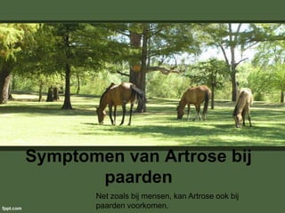 Symptomen van Artrose bij
paarden
Net zoals bij mensen, kan Artrose ook bij
paarden voorkomen.
 