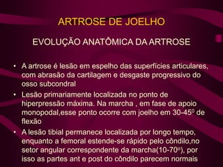 ARTROSE DE JOELHO
EVOLUÇÃO ANATÔMICA DA ARTROSE
• A artrose é lesão em espelho das superfícies articulares,
com abrasão da cartilagem e desgaste progressivo do
osso subcondral
• Lesão primariamente localizada no ponto de
hiperpressão máxima. Na marcha , em fase de apoio
monopodal,esse ponto ocorre com joelho em 30-450 de
flexão
• A lesão tibial permanece localizada por longo tempo,
enquanto a femoral estende-se rápido pelo côndilo,no
setor angular correspondente da marcha(10-70o), por
isso as partes ant e post do côndilo parecem normais
 