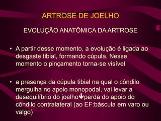 ARTROSE DE JOELHO
EVOLUÇÃO ANATÔMICA DA ARTROSE
• A partir desse momento, a evolução é ligada ao
desgaste tibial, formando cúpula. Nesse
momento o pinçamento torna-se visível
• a presença da cúpula tibial na qual o côndilo
mergulha no apoio monopodal, vai levar a
desequilíbrio do joelhoperda do apoio do
côndilo contralateral (ao EF:báscula em varo ou
valgo)
 