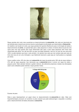 Raças grandes são muito mais suscetíveis ao desenvolvimento de osteoartrite. Isto pode ser decorrente de
seu elevado peso corporal que provoca trauma e perturbação da articulação que desencadeia a Osteoartrite.
Um detalhe a ser levado em conta, que raças grandes tem grande influência do peso na formação de lesões e
desenvolvimento de artrite, um grande fator para o cães pequenos é a altura. A mesma altura do pulo de uma
cama para uma raça grande será muito influenciado pelo peso e para raças pequenas será muito mais
influenciada pela altura. Um cão tem 60% do peso nas patas dianteiras, mas em um pulo de uma cama terá
100% na pata dianteira que tocar o solo primeiro. Um grande risco esta que nem sempre este pulo esta em
linha reta mas sim em uma inclinação o que fatalmente lesionará a pata seja por machucadura ou repetição
por stress.
Como o gráfico indica, 45% dos cães com osteoartrite são raças de grande porte, 28% são de raças médias e
27% são de raças pequenas. Isso demonstra que a osteoartrite ainda é comum em raças de médio e
pequeno porte. Cães Labrador retriever e golden retriever, são altamente propensos a lesões nas articulações
assim como rottwailers,pastor alemão e raças grandes mistas.

Excesso de peso
Dieta e peso desempenham um papel chave no desenvolvimento de osteoartrite em cães. Cães com
Superalimentação provocam um aumento no peso corporal que pode sobrecarregar o esqueleto e contribuir
para o desenvolvimento de lesões articulares e osteoartrite.

 