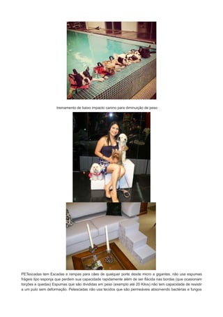 treinamento de baixo impacto canino para diminuição de peso

PETescadas tem Escadas e rampas para cães de qualquer porte desde micro a gigantes, não usa espumas
frágeis tipo esponja que perdem sua capacidade rapidamente além de ser flácida nas bordas (que ocasionam
torções e quedas) Espumas que são divididas em peso (exemplo até 20 Kilos) não tem capacidade de resistir
a um pulo sem deformação. Petescadas não usa tecidos que são permeáveis absorvendo bactérias e fungos

 