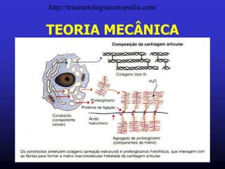 TEORIA MECÂNICA
http://traumatologiaeortopedia.com/
 