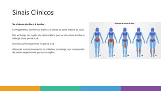 Sinais Clínicos
Se a hérnia de disco é lombar:
Formigamento, dormência, ardência e dores na parte interna da coxa.
Dor ao longo do trajeto do nervo ciático que vai da coluna lombar á
nádega, coxa, perna e pé;
Dormência/formigamento na perna e pé
Alteração no funcionamento do intestino ou bexiga, por compressão
de nervos responsáveis por esses órgãos
 