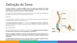 Definição do Tema
A coluna vertebral é o suporte principal do eixo do corpo, que consiste de 26 ossos
articulados em uma estrutura curva e flexível. Ela se estende a partir do crânio até a pelve,
onde transmite o peso do tronco para os membros inferiores.
A coluna também envolve e protege a delicada medula espinal e fornece pontos de articulação para
as costelas e para inserção dos músculos do pescoço e do dorso.
Ligamentos
A coluna vertebral é mantida em posição por um elaborado sistema de suportes, propiciado por
diversos ligamentos do dorso e músculos do tronco.
Os principais ligamentos de suporte são os ligamentos longitudinais anteriores e posteriores,
que correm verticalmente ao longo das superfícies anterior e posterior dos corpos das vértebras, do
pescoço até o sacro.
Discos intervertebrais
Cada disco intervertebral é uma almofada de amortecimento, composta pelo núcleo pulposo e
um colar externo com cerca de 12 anéis concêntricos, o anel fibroso.
Cada núcleo pulposo é gelatinoso e permite à coluna absorção de estresse compressivo. Já a
função do anel fibroso é conter o núcleo pulposo, limitando sua expansão quando a coluna é
comprimida.
Os anéis também funcionam como uma cinta para manter as vértebras adjacentes juntas,
resistindo à tensão sobre a coluna e absorvendo forças de compressão.
 
