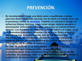PREVENCIÓN. Es recomendable llevar una dieta sana y equilibrada, realizar ejercicio físico moderado (acorde con la edad y el estado físico de la persona) y evitar la obesidad. También es necesario limitar los esfuerzos físicos intensos, tales como cargar objetos pesados o desempeñar actividades laborales que exijan un esfuerzo físico intenso. Los deportes de contacto, como el fútbol o el rugby, no se recomiendan a aquellas personas con artrosis. Estas prácticas deportivas son, frecuentemente, uno de los factores que desencadenan la enfermedad. De hecho, muchos futbolistas padecen artrosis de rodilla debido a que sufren daños en una articulación de la rodilla, el menisco.En caso de padecer ya la enfermedad, se deben evitar los movimientos que producen dolor, ya sea utilizando preferentemente otras articulaciones o limitando el uso de las enfermas. Sin embargo, esto no quiere decir que se deba tender a la situación de inmovilidad de estas últimas.