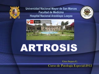 Universidad Nacional Mayor de San Marcos
          Facultad de Medicina
   Hospital Nacional Arzobispo Loayza




                            Gino Segura G.
                 Curso de Patología Especial-2012
 
