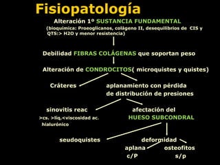 Fisiopatología Alteración 1º  SUSTANCIA FUNDAMENTAL   (bioquímica: Proeoglicanos, colágeno II, desequilibrios de  CIS y QTS:> H2O y menor resistencia) Debilidad  FIBRAS COLÁGENAS  que soportan peso Alteración de  CONDROCITOS ( microquistes y quistes) Cráteres  aplanamiento con pérdida  de distribución de presiones sinovitis reac  afectación del >cs. >líq,<viscosidad ac .  HUESO SUBCONDRAL   hialurónico seudoquistes  deformidad aplana  osteofitos c/P  s/p 